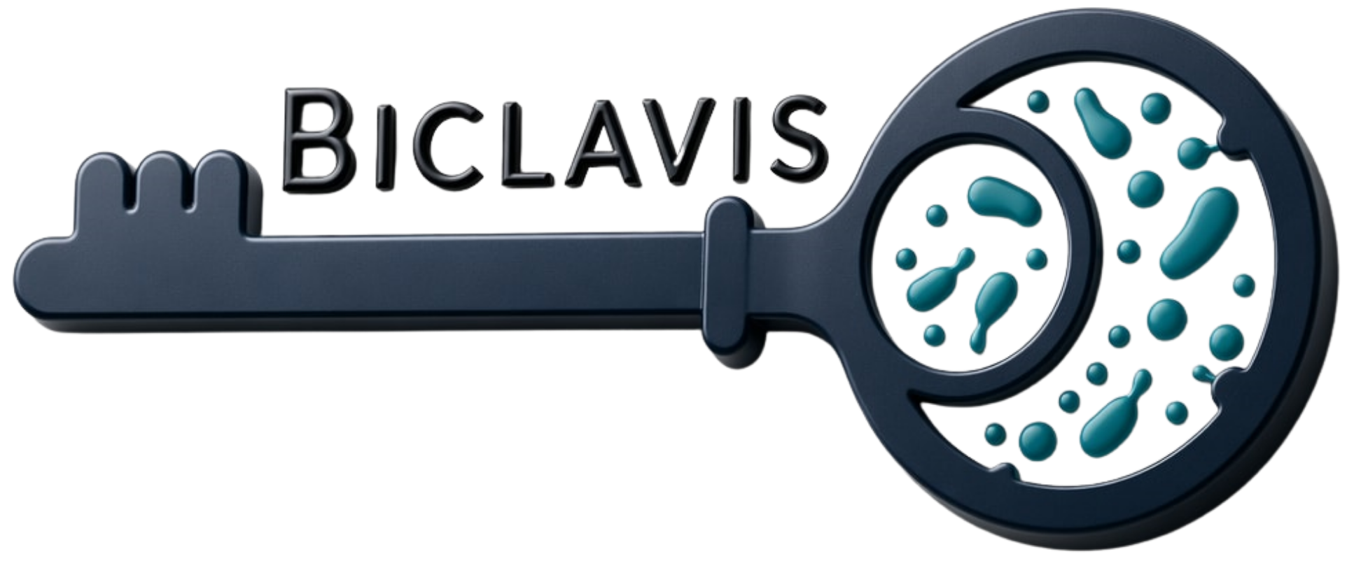 Biclavis Kurumsal